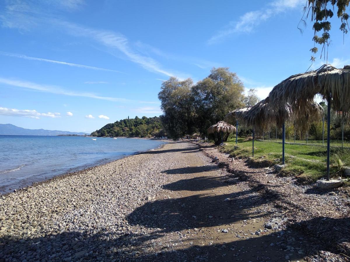 Kalypso Relaxing Shelter Leilighet Arkítsa Eksteriør bilde